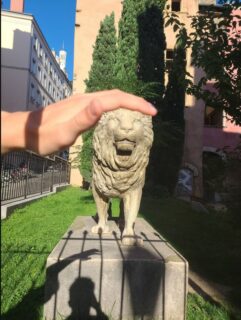 Capture d’écran_3-10-2025_163412_results.loquiz.com-min