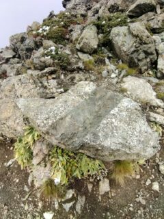 IMG-20250926-WA0027-min