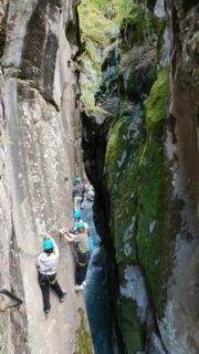 IMG-20250927-WA0014-min